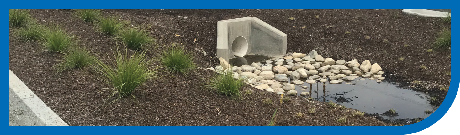 Ocgo 2021 Water Pollution